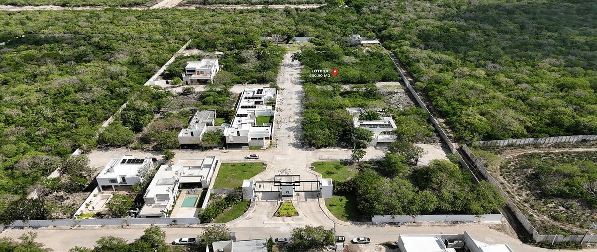 Foto de terreno habitacional en venta en  , temozon norte, mérida, yucatán, 0 No. 04