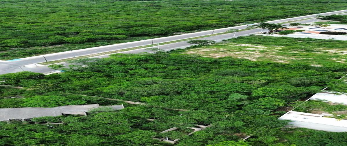 Foto de terreno habitacional en venta en  , temozon norte, mérida, yucatán, 0 No. 04