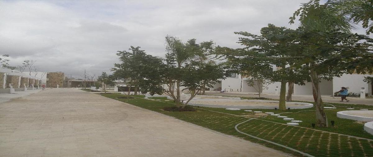 Foto de casa en , temozon norte, mérida, yucatán, 6986780 foto 04 Foto de casa en venta en , temozon norte, mérida, yucatán, 6986780 No. 04