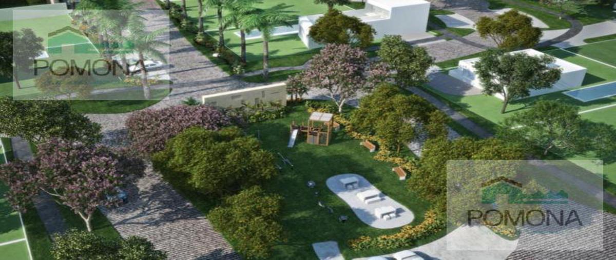 Foto de terreno habitacional en venta en  , temozon norte, mérida, yucatán, 7221816 No. 04