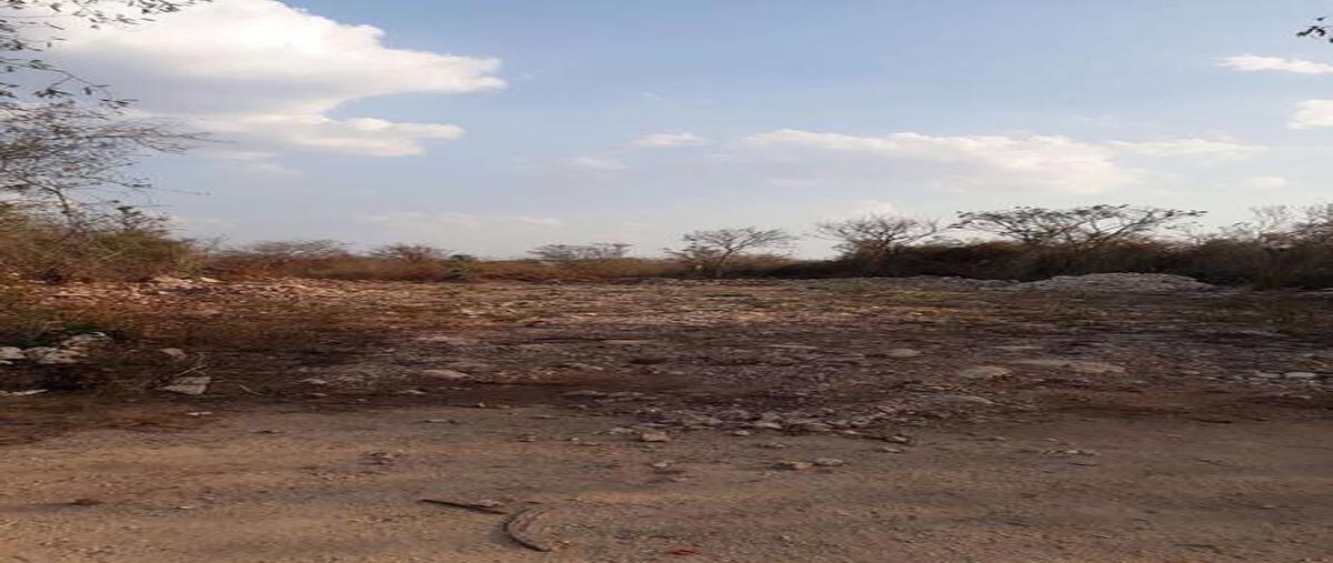 Foto de terreno habitacional en venta en  , temozon norte, mérida, yucatán, 7676808 No. 02