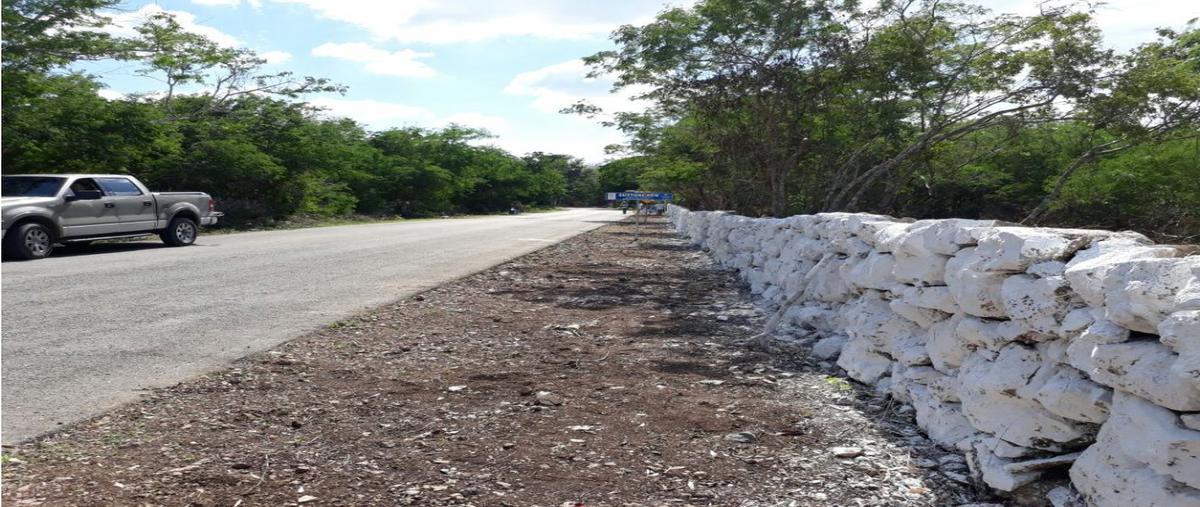Foto de terreno habitacional en , temozon norte, mérida, yucatán, 9327269 foto 01 Foto de terreno habitacional en venta en , temozon norte, mérida, yucatán, 9327269 No. 01