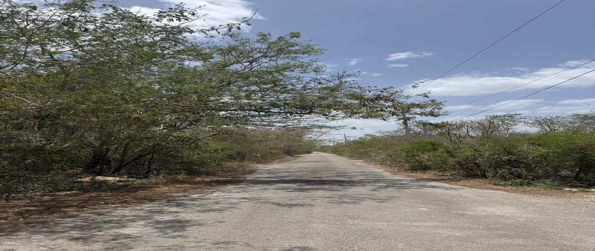 Foto de terreno habitacional en venta en temozón norte , temozon norte, mérida, yucatán, 29897737 No. 04