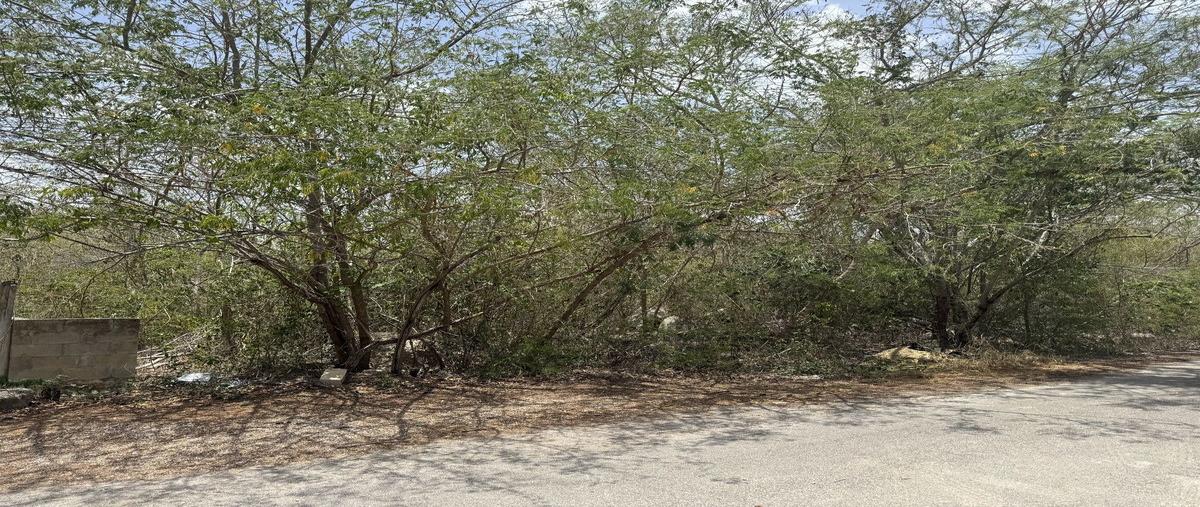 Foto de terreno habitacional en venta en temozón norte , temozon norte, mérida, yucatán, 29897737 No. 05