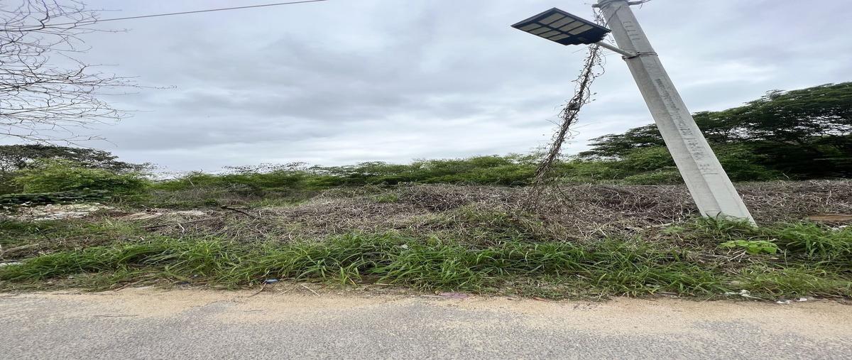 Foto de terreno habitacional en venta en temozon norte , temozon norte, mérida, yucatán, 30003875 No. 03