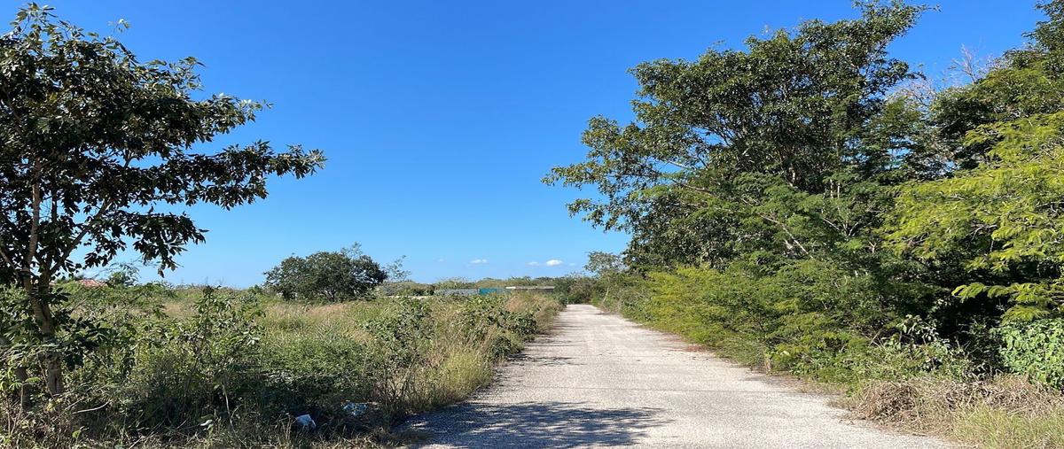 Foto de terreno habitacional en temozon norte whi275306, temozon norte, mérida, yucatán, 23994677 foto 03 Foto de terreno habitacional en venta en temozon norte whi275306, temozon norte, mérida, yucatán, 23994677 No. 03