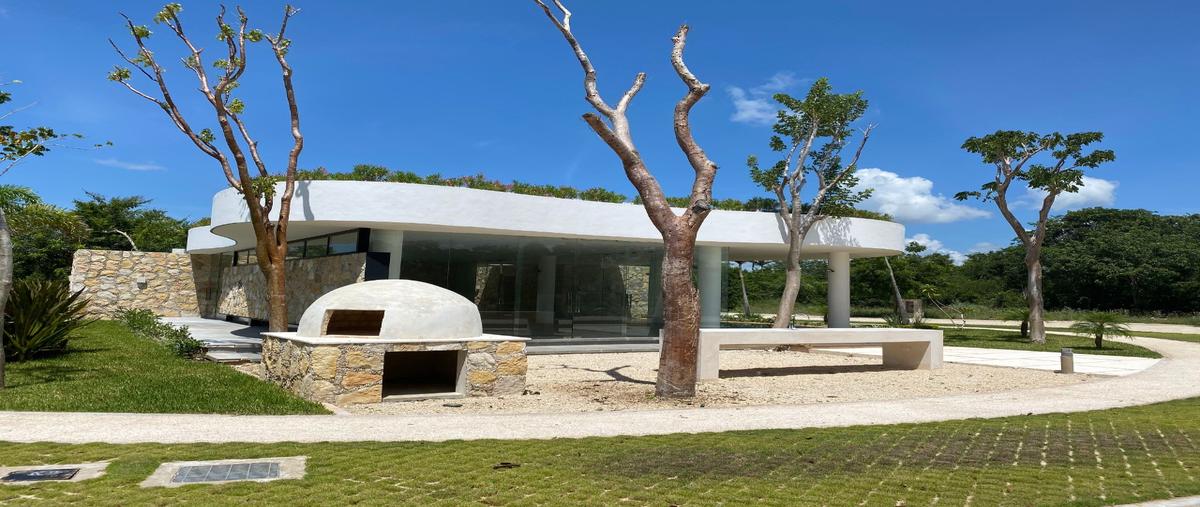 Foto de terreno habitacional en venta en temozon norte whi276505, temozon norte, mérida, yucatán, 24526101 No. 05
