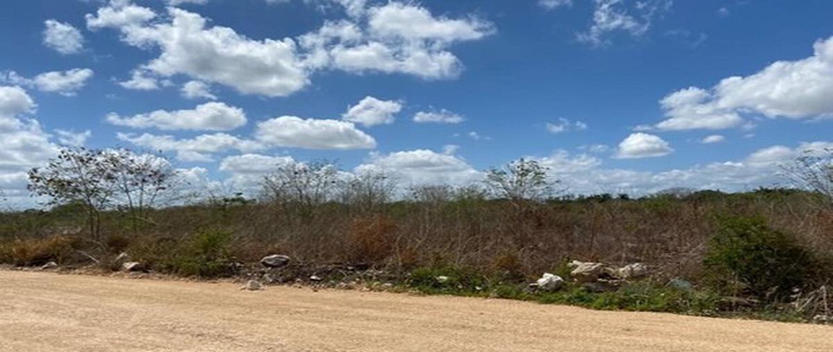 Foto de terreno habitacional en temozon norte whi277837, temozon norte, mérida, yucatán, 24841137 foto 02 Foto de terreno habitacional en venta en temozon norte whi277837, temozon norte, mérida, yucatán, 24841137 No. 02