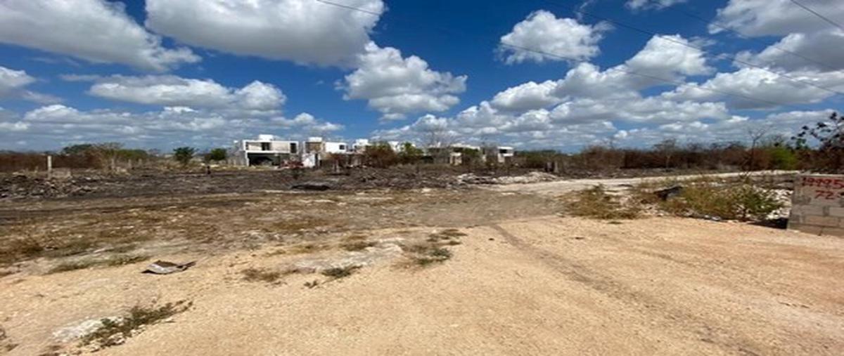 Foto de terreno habitacional en temozon norte whi277837, temozon norte, mérida, yucatán, 24841137 foto 03 Foto de terreno habitacional en venta en temozon norte whi277837, temozon norte, mérida, yucatán, 24841137 No. 03