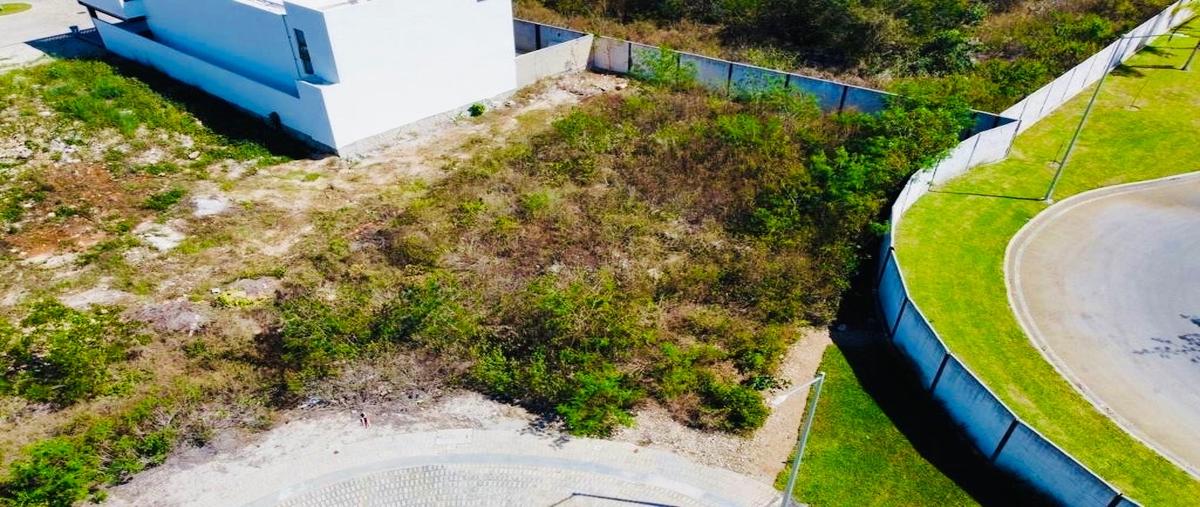 Foto de terreno habitacional en venta en temozon norte whi295226, temozon norte, mérida, yucatán, 26243328 No. 04