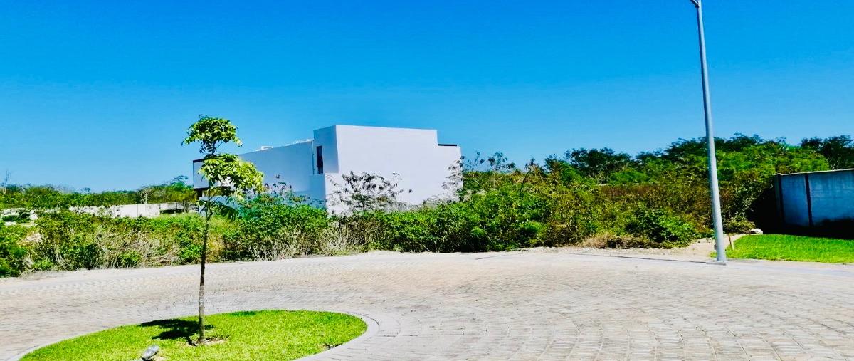 Foto de terreno habitacional en venta en temozon norte whi295226, temozon norte, mérida, yucatán, 26243328 No. 05