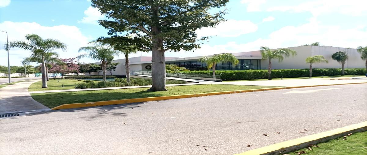 Foto de terreno habitacional en venta en temozon , temozon norte, mérida, yucatán, 25736469 No. 04