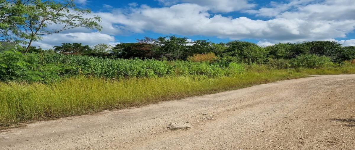 Foto de terreno habitacional en venta en temozon , temozon norte, mérida, yucatán, 28712700 No. 03