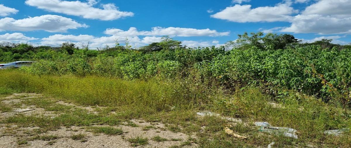 Foto de terreno habitacional en venta en temozon , temozon norte, mérida, yucatán, 28712700 No. 04