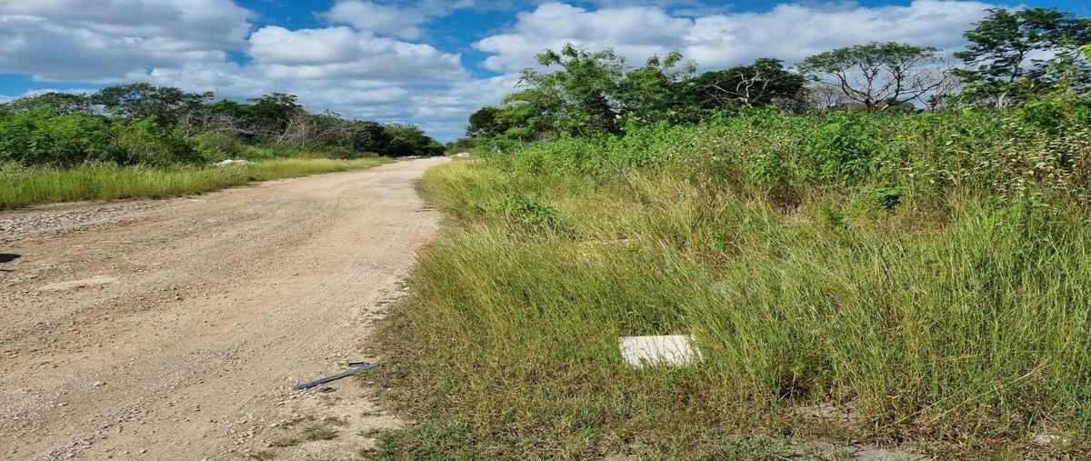 Foto de terreno habitacional en venta en temozon , temozon norte, mérida, yucatán, 28712700 No. 05