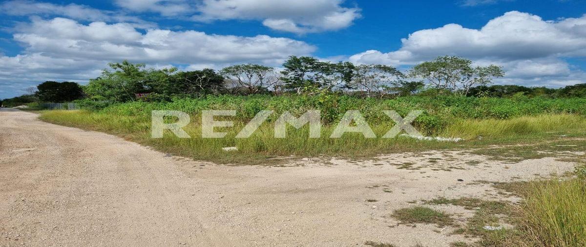 Foto de terreno habitacional en venta en temozon , temozon norte, mérida, yucatán, 0 No. 03