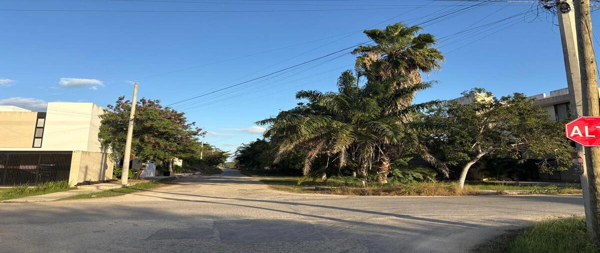 Foto de terreno habitacional en venta en temozón , temozon norte, mérida, yucatán, 0 No. 03