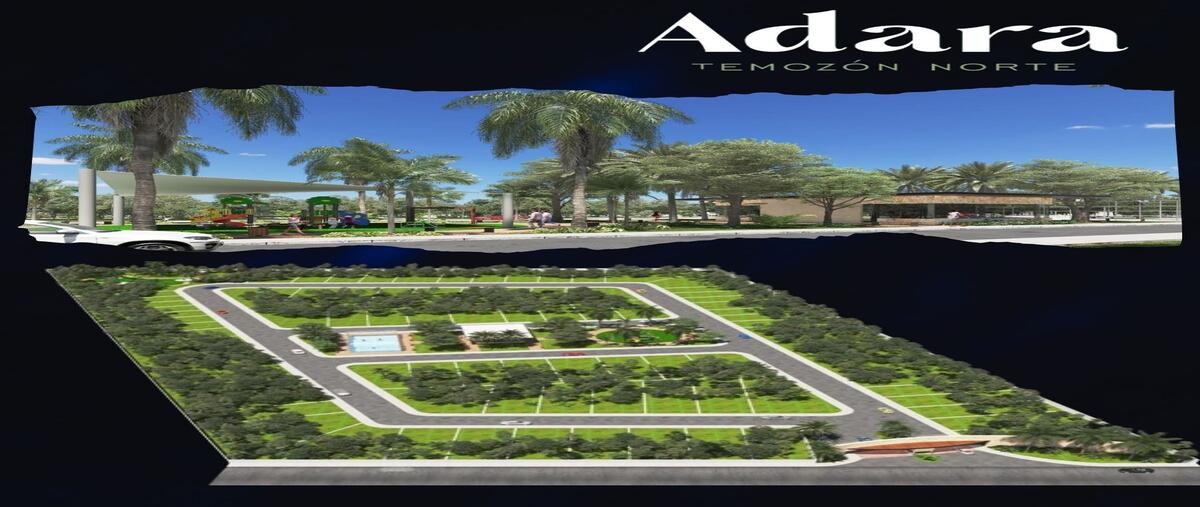 Foto de casa en temozón , temozon, temozón, yucatán, 28226757 foto 06 Foto de casa en venta en temozón , temozon, temozón, yucatán, 28226757 No. 06