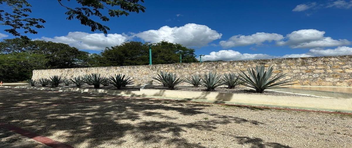 Foto de casa en venta en  , temozon, temozón, yucatán, 28796656 No. 03