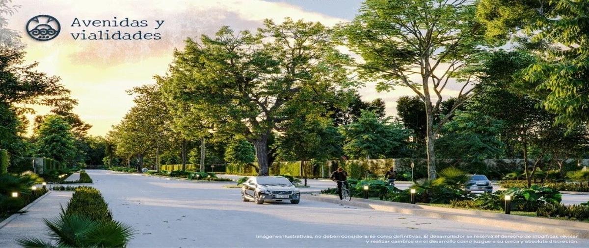 Foto de terreno habitacional en , temozon, temozón, yucatán, 0 foto 04 Foto de terreno habitacional en venta en , temozon, temozón, yucatán, 0 No. 04
