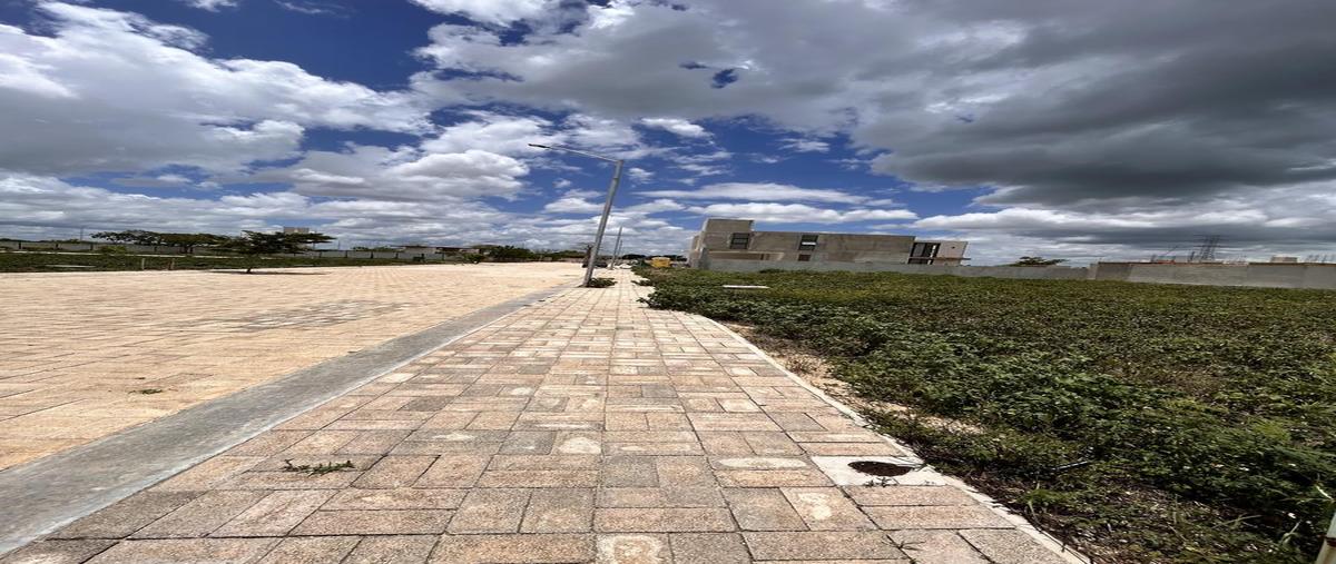 Foto de terreno habitacional en venta en  , temozon, temozón, yucatán, 30182666 No. 03