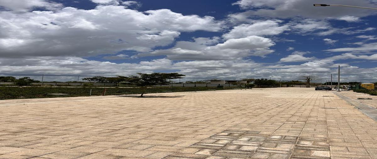 Foto de terreno habitacional en venta en  , temozon, temozón, yucatán, 30182666 No. 04