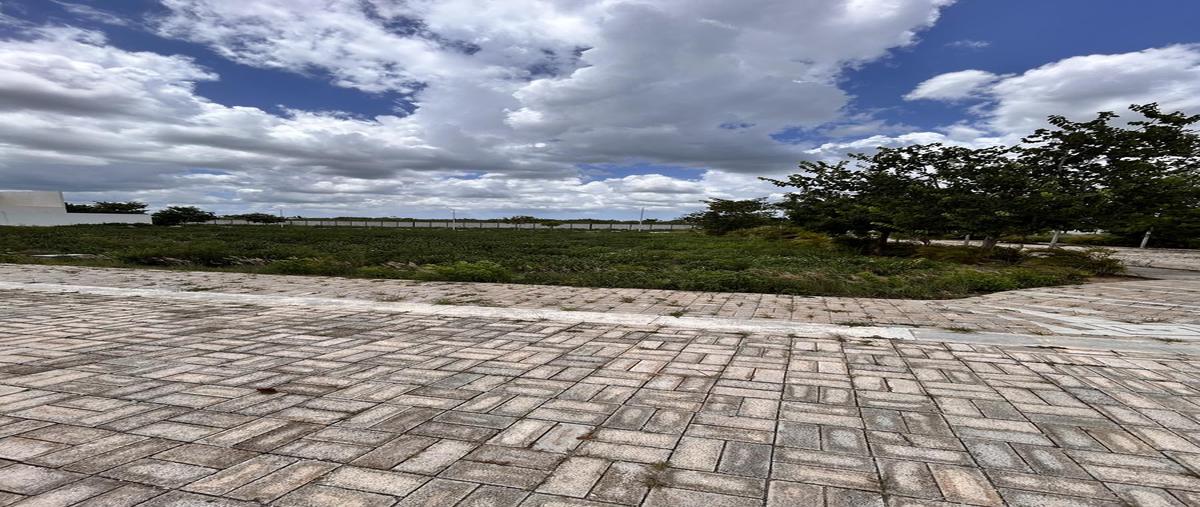 Foto de terreno habitacional en venta en  , temozon, temozón, yucatán, 30182666 No. 05