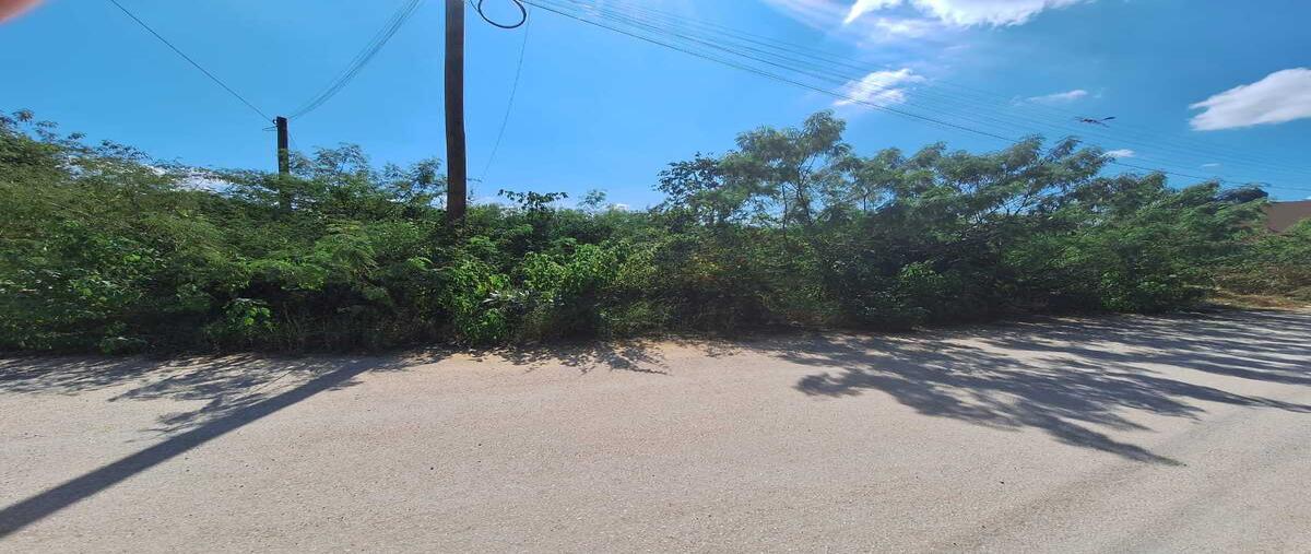 Foto de terreno habitacional en venta en  , temozon, temozón, yucatán, 30550464 No. 03
