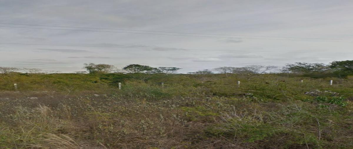 Foto de terreno habitacional en , temozon, temozón, yucatán, 0 foto 04 Foto de terreno habitacional en venta en , temozon, temozón, yucatán, 0 No. 04