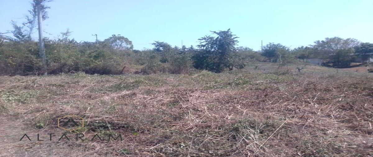 Foto de terreno habitacional en venta en  , tempoal centro, tempoal, veracruz de ignacio de la llave, 27860043 No. 03