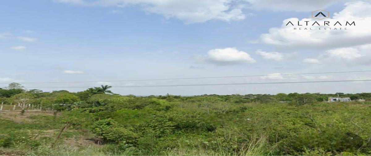 Foto de terreno habitacional en venta en  , tempoal centro, tempoal, veracruz de ignacio de la llave, 27860043 No. 04