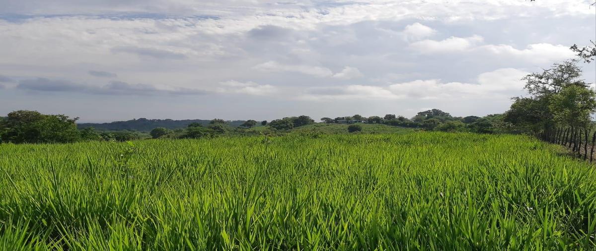 Foto de rancho en venta en  , tempoal centro, tempoal, veracruz de ignacio de la llave, 0 No. 05
