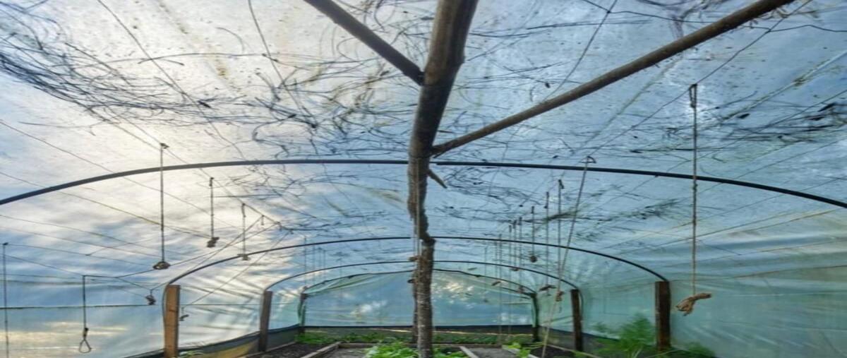 Foto de casa en venta en temporal , san antonio, valle de bravo, méxico, 0 No. 05