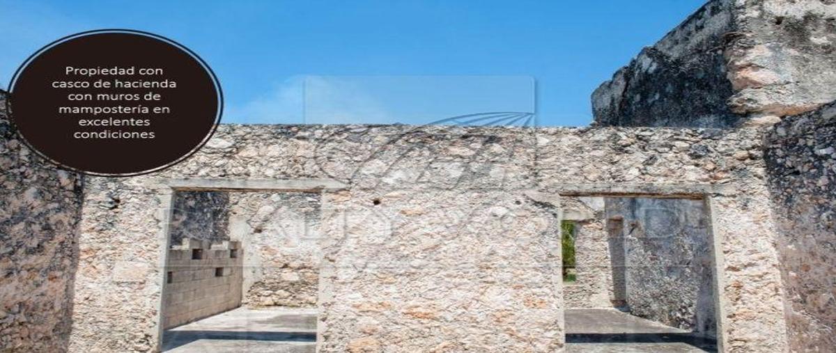 Foto de terreno habitacional en venta en  , tenabo centro, tenabo, campeche, 0 No. 03