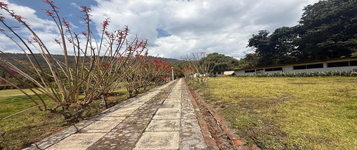 Foto de terreno habitacional en venta en  , tenancingo de degollado, tenancingo, méxico, 29394692 No. 05