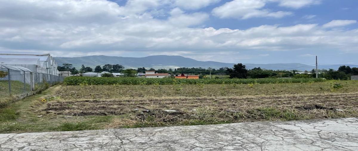 Foto de terreno habitacional en venta en  , tenancingo, tenancingo, tlaxcala, 28479576 No. 03