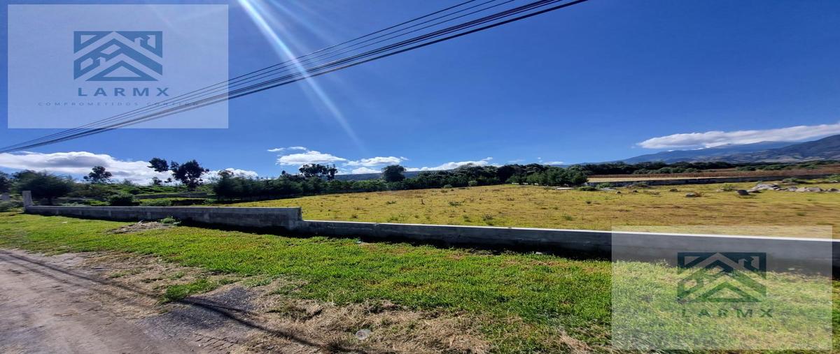 Foto de terreno habitacional en venta en  , tenango de arista, tenango del valle, méxico, 0 No. 03
