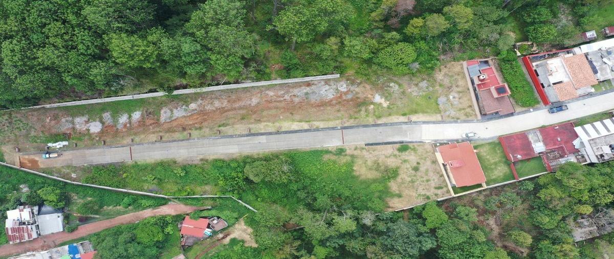 Foto de terreno habitacional en venta en  , tenango de las flores, huauchinango, puebla, 30340994 No. 04