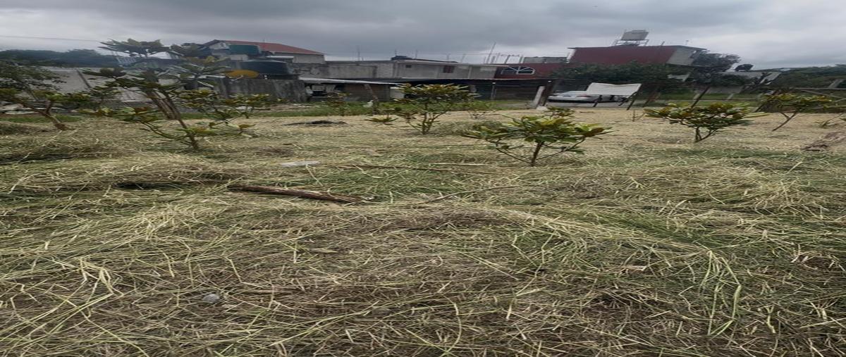 Foto de terreno habitacional en venta en  , tenango de las flores, huauchinango, puebla, 30341025 No. 03