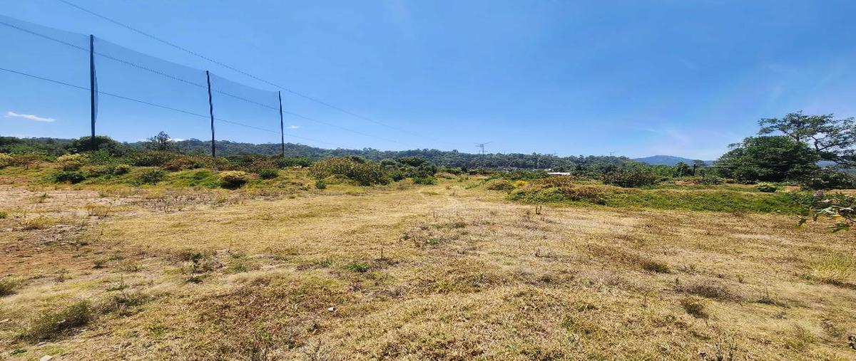 Foto de terreno habitacional en tenantongo , valle de bravo, valle de bravo, méxico, 0 foto 03 Foto de terreno habitacional en venta en tenantongo , valle de bravo, valle de bravo, méxico, 0 No. 03