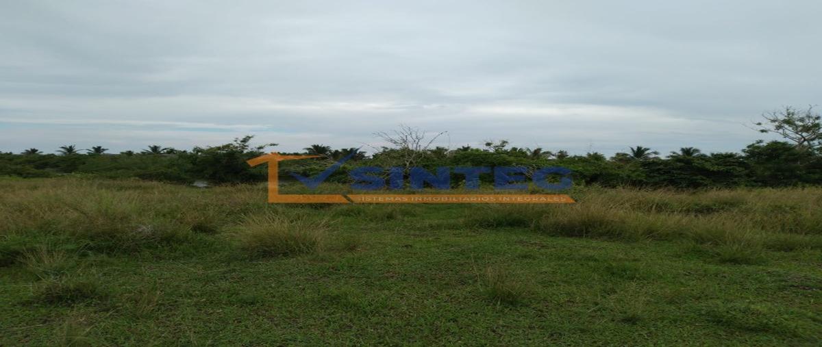 Foto de terreno habitacional en venta en  , tenixtepec, papantla, veracruz de ignacio de la llave, 26765221 No. 03