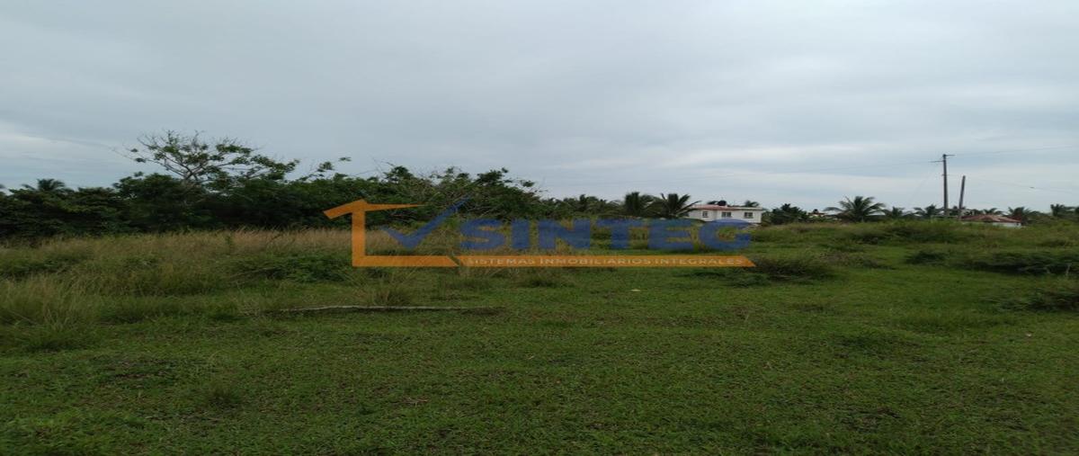 Foto de terreno habitacional en venta en  , tenixtepec, papantla, veracruz de ignacio de la llave, 26765221 No. 04
