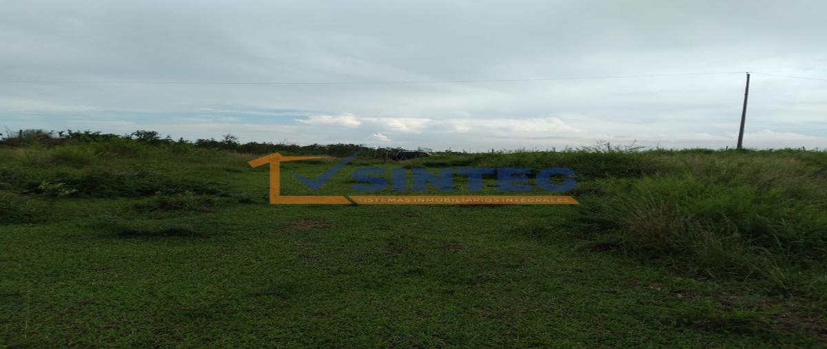 Foto de terreno habitacional en venta en  , tenixtepec, papantla, veracruz de ignacio de la llave, 26765221 No. 05