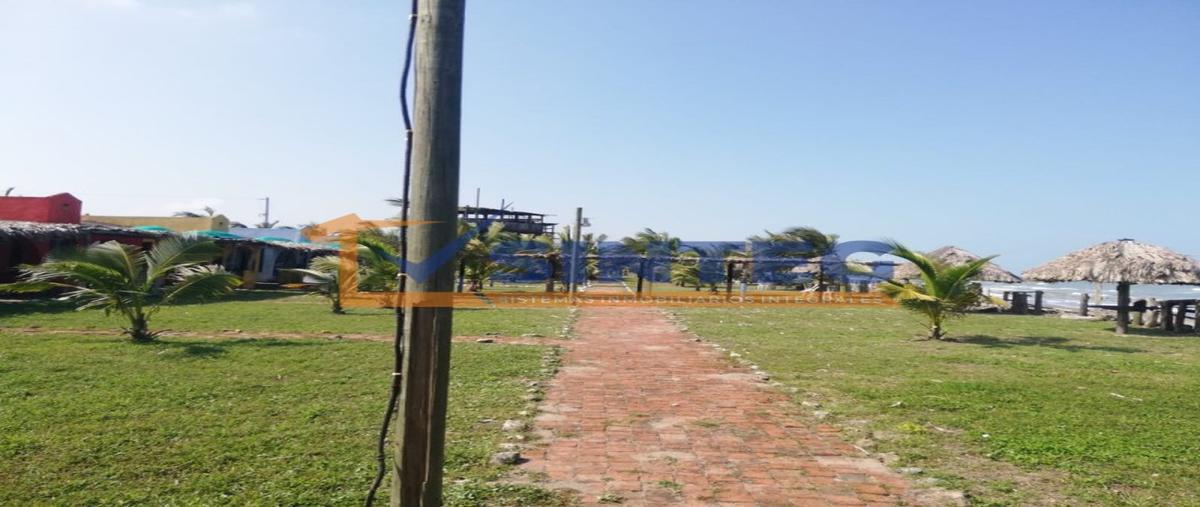 Foto de terreno habitacional en , tenixtepec, papantla, veracruz de ignacio de la llave, 27135889 foto 03 Foto de terreno habitacional en venta en , tenixtepec, papantla, veracruz de ignacio de la llave, 27135889 No. 03