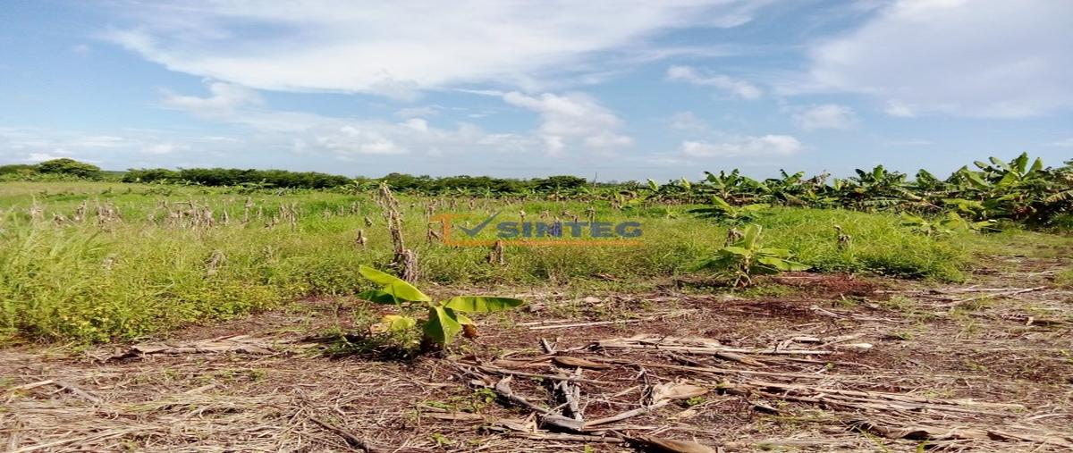 Foto de terreno habitacional en venta en  , tenixtepec, papantla, veracruz de ignacio de la llave, 30185472 No. 03