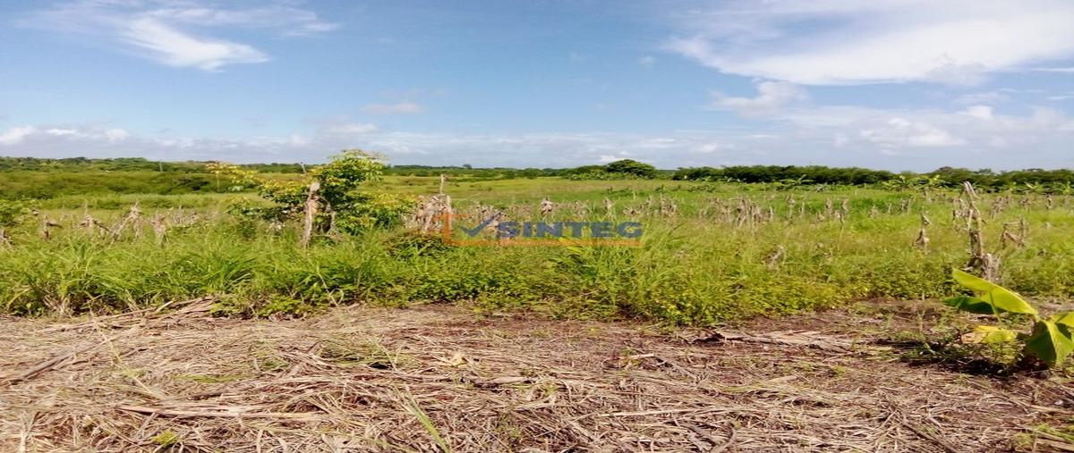 Foto de terreno habitacional en venta en  , tenixtepec, papantla, veracruz de ignacio de la llave, 30185472 No. 04