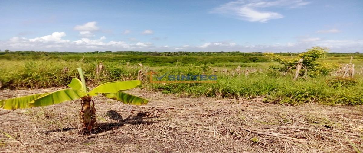 Foto de terreno habitacional en venta en  , tenixtepec, papantla, veracruz de ignacio de la llave, 30185472 No. 05