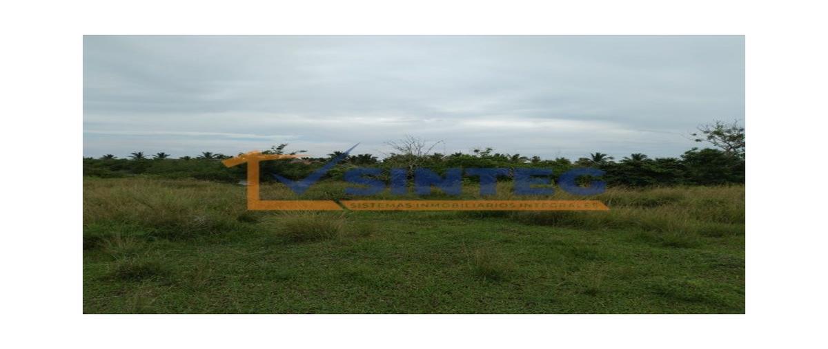 Foto de terreno habitacional en , tenixtepec, papantla, veracruz de ignacio de la llave, 0 foto 02 Foto de terreno habitacional en venta en , tenixtepec, papantla, veracruz de ignacio de la llave, 0 No. 02