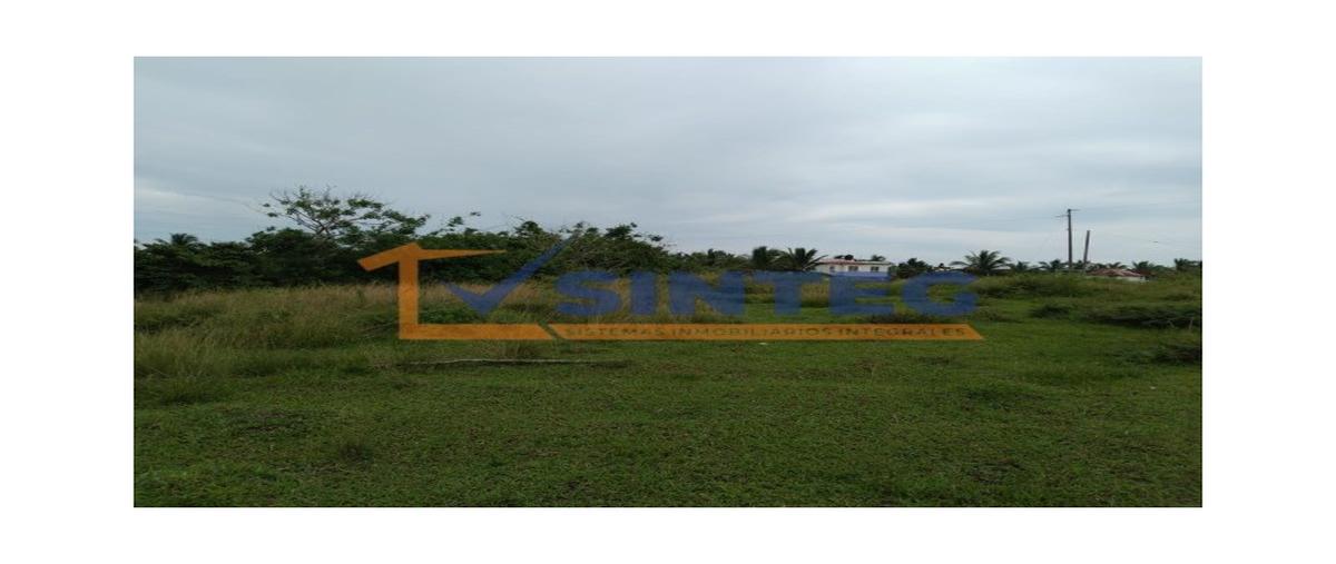 Foto de terreno habitacional en , tenixtepec, papantla, veracruz de ignacio de la llave, 0 foto 03 Foto de terreno habitacional en venta en , tenixtepec, papantla, veracruz de ignacio de la llave, 0 No. 03