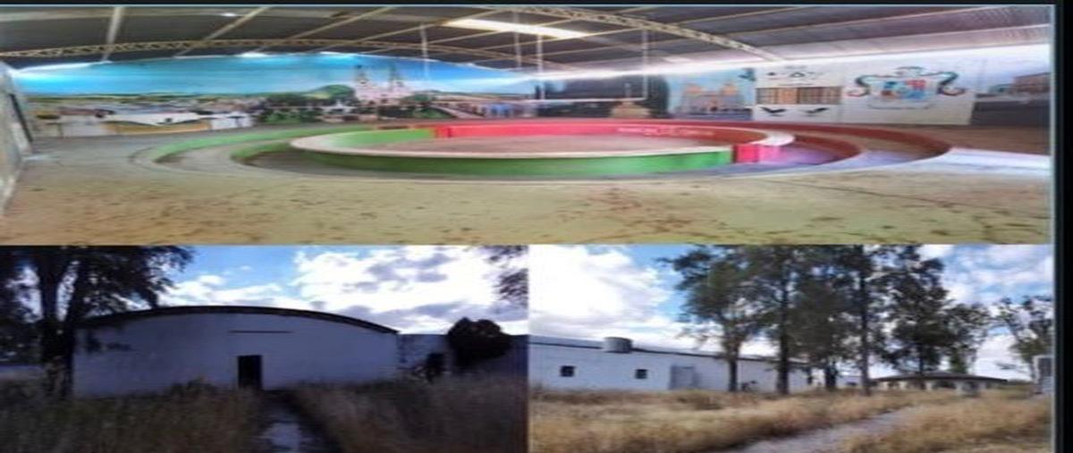 Foto de rancho en venta en teocaltiche , lomas de teocaltiche, teocaltiche, jalisco, 27007232 No. 03